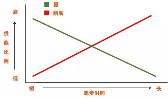 只有跑步半小时 才能减肥燃脂吗？