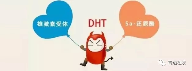 青逸植发专家教您如何快速区别脱发和正常掉发
