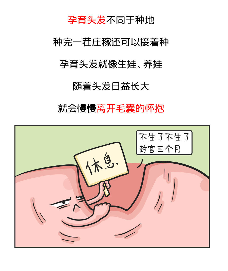我们为什么会脱发?