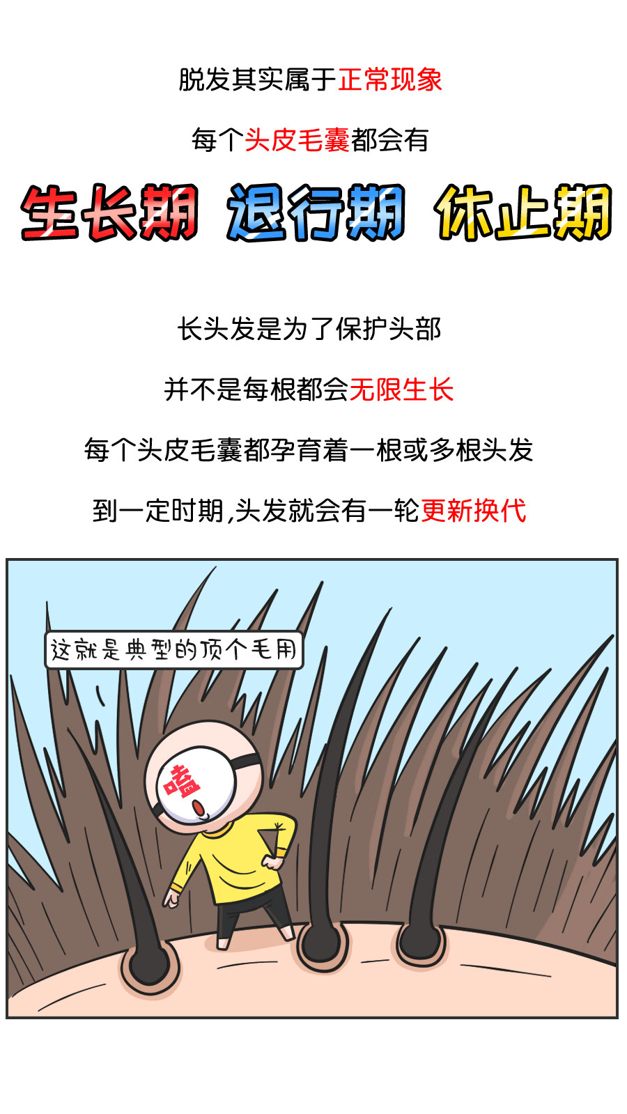 我们为什么会脱发?