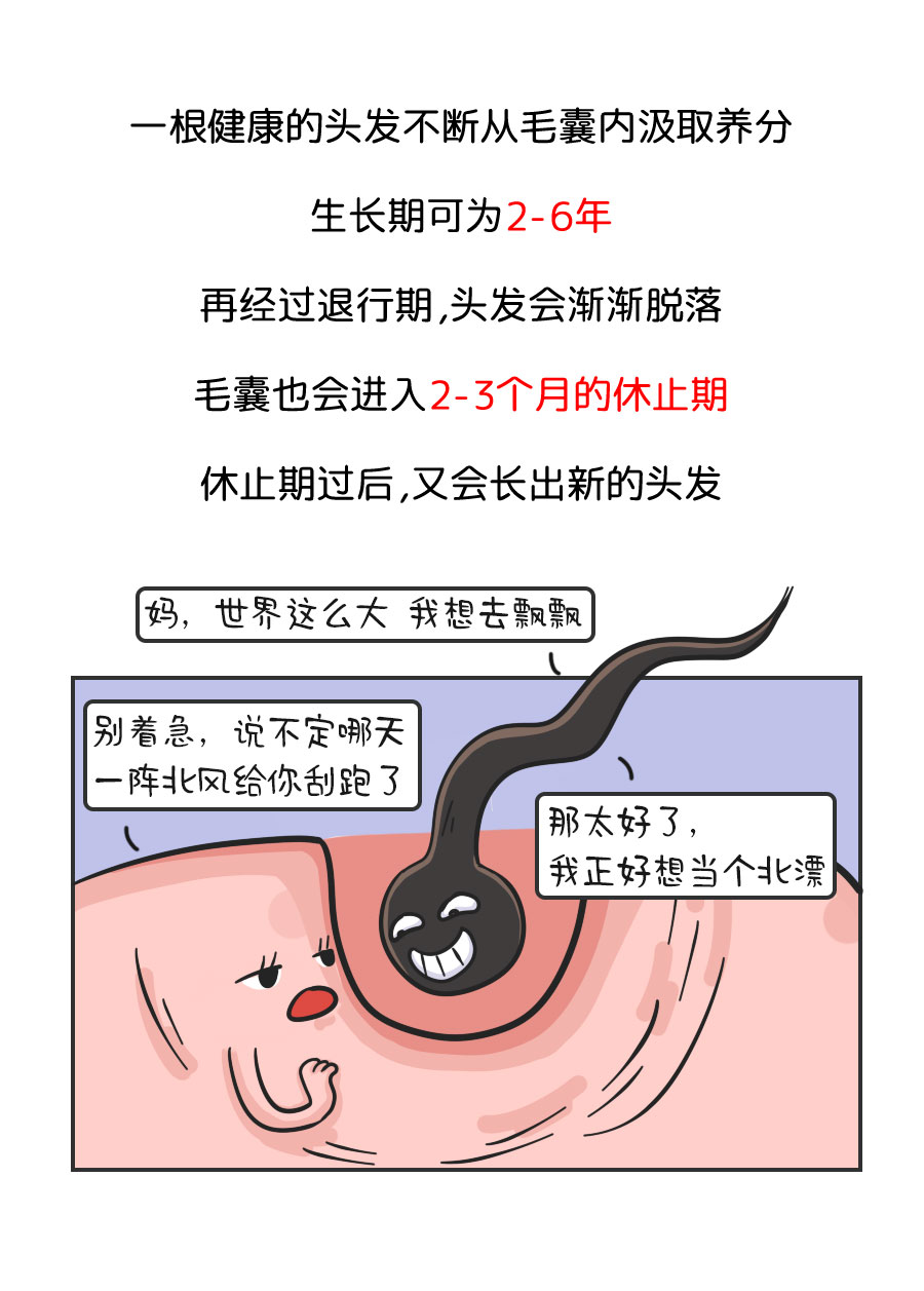 我们为什么会脱发?