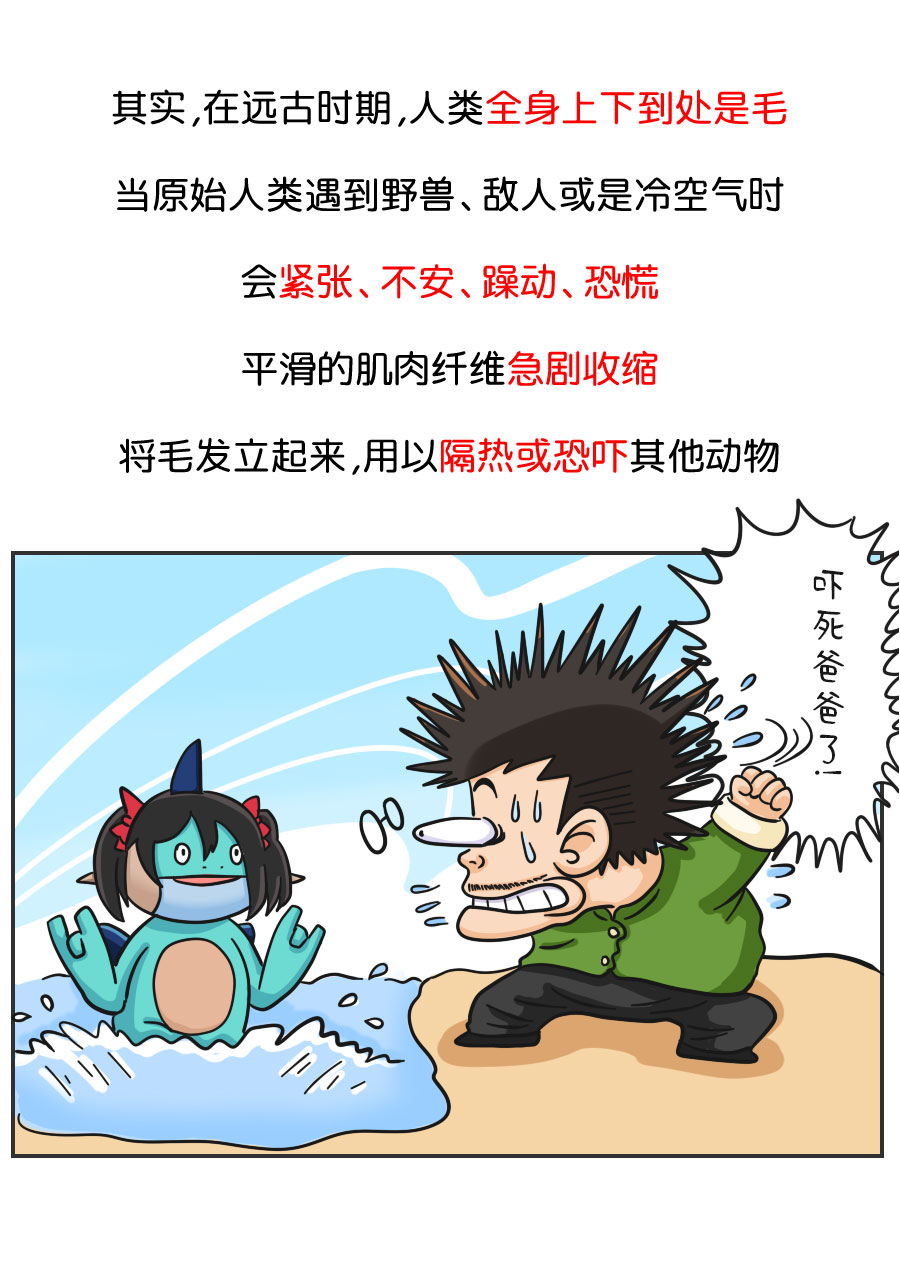 我们为什么会脱发?