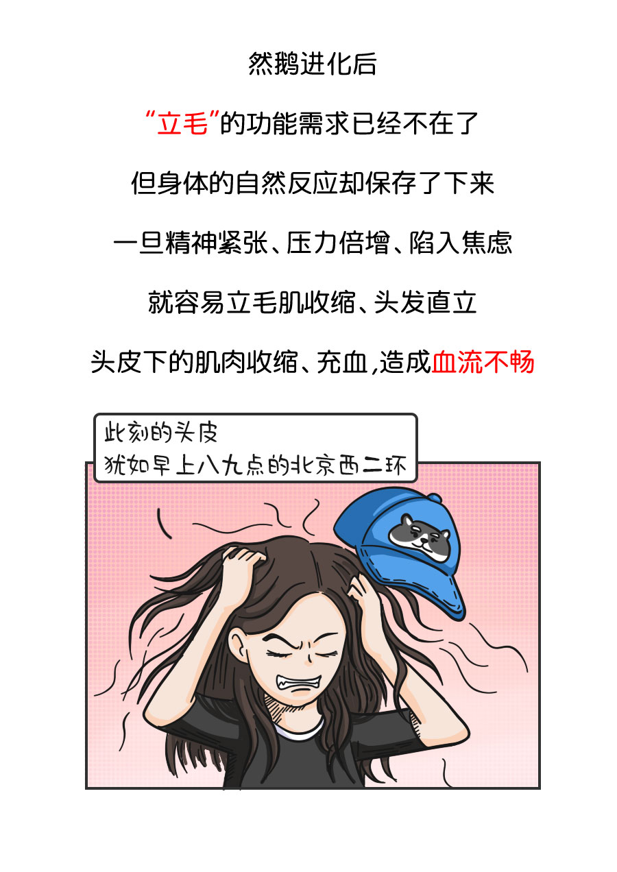 我们为什么会脱发？