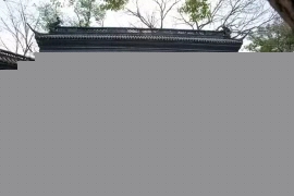 回顾5