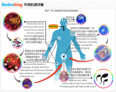 Radosking(美国纳多金)中文说明书 纳多金中文使用说明温馨提示