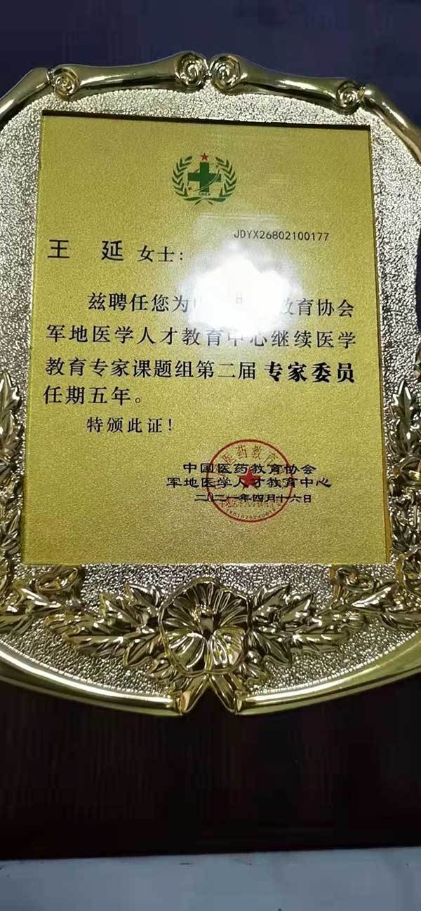 中国名人网 官方报道 最美名中医——王延