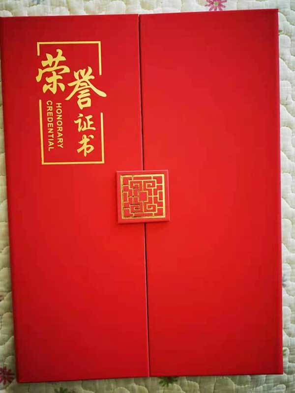 中国名人网 官方报道 最美名中医——王延