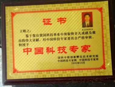 世界当代名医——王皓之