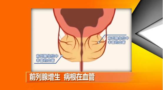 新闻源技术2521.png