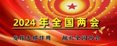 聚焦两会 特别报道 卓越成