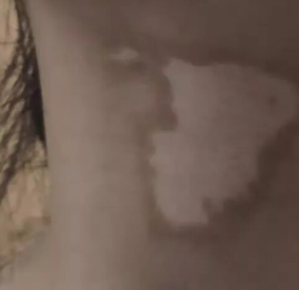 1763522460882926.png 1 (17).png